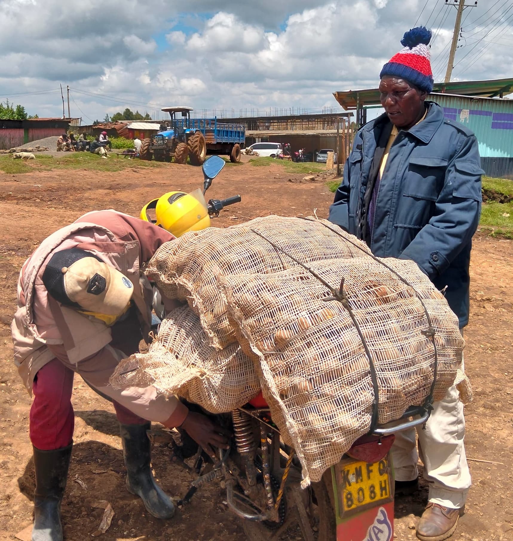 Sustainability and tree planting