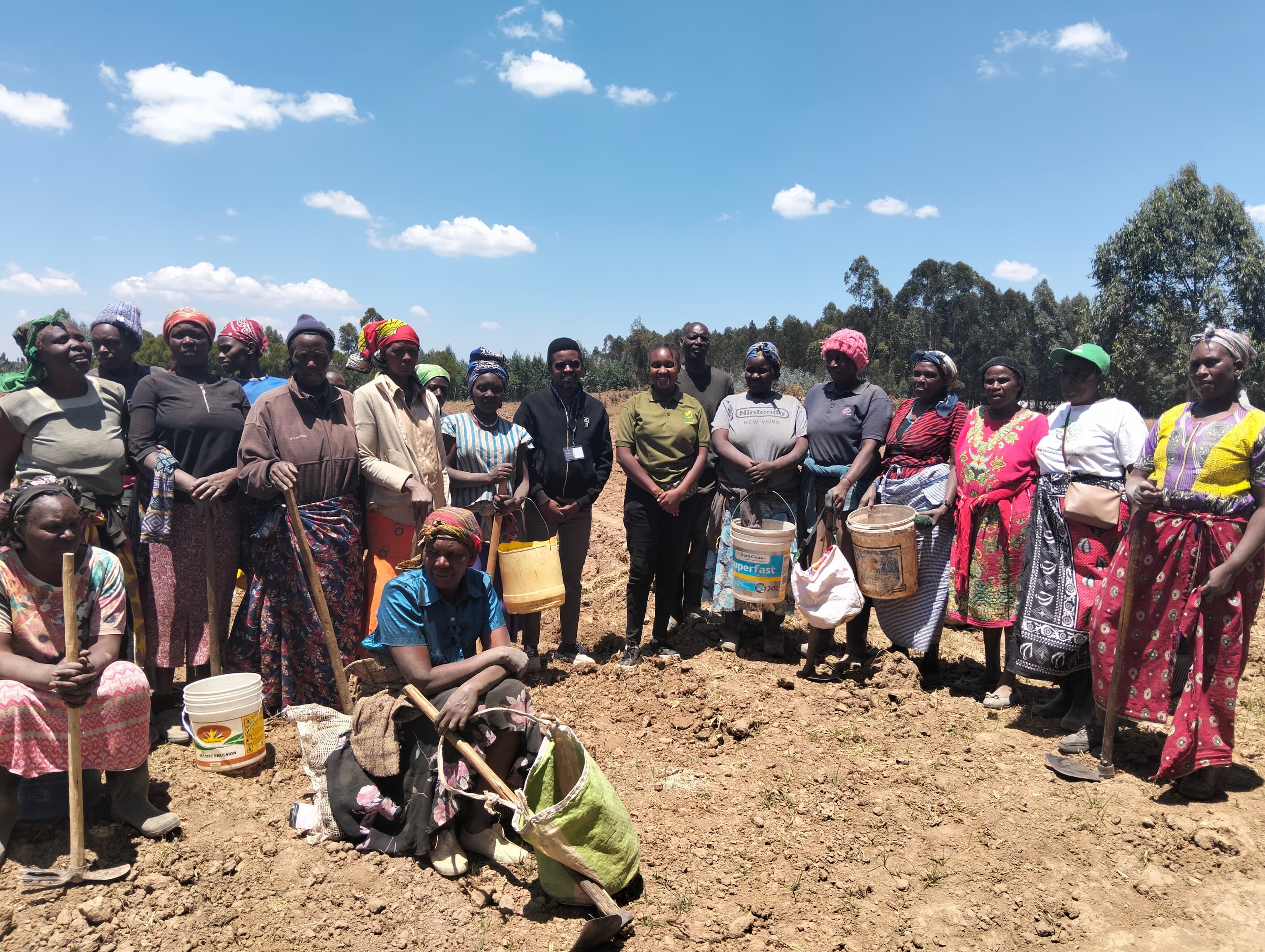 Training & Capacity Building