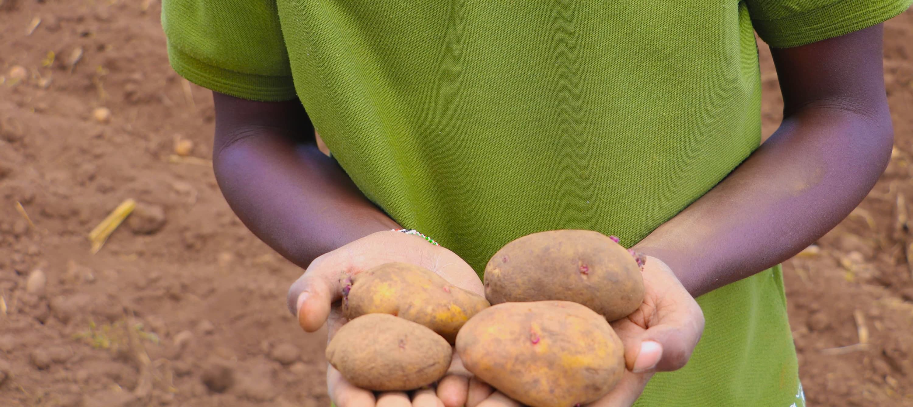 Agricultural consultancy services