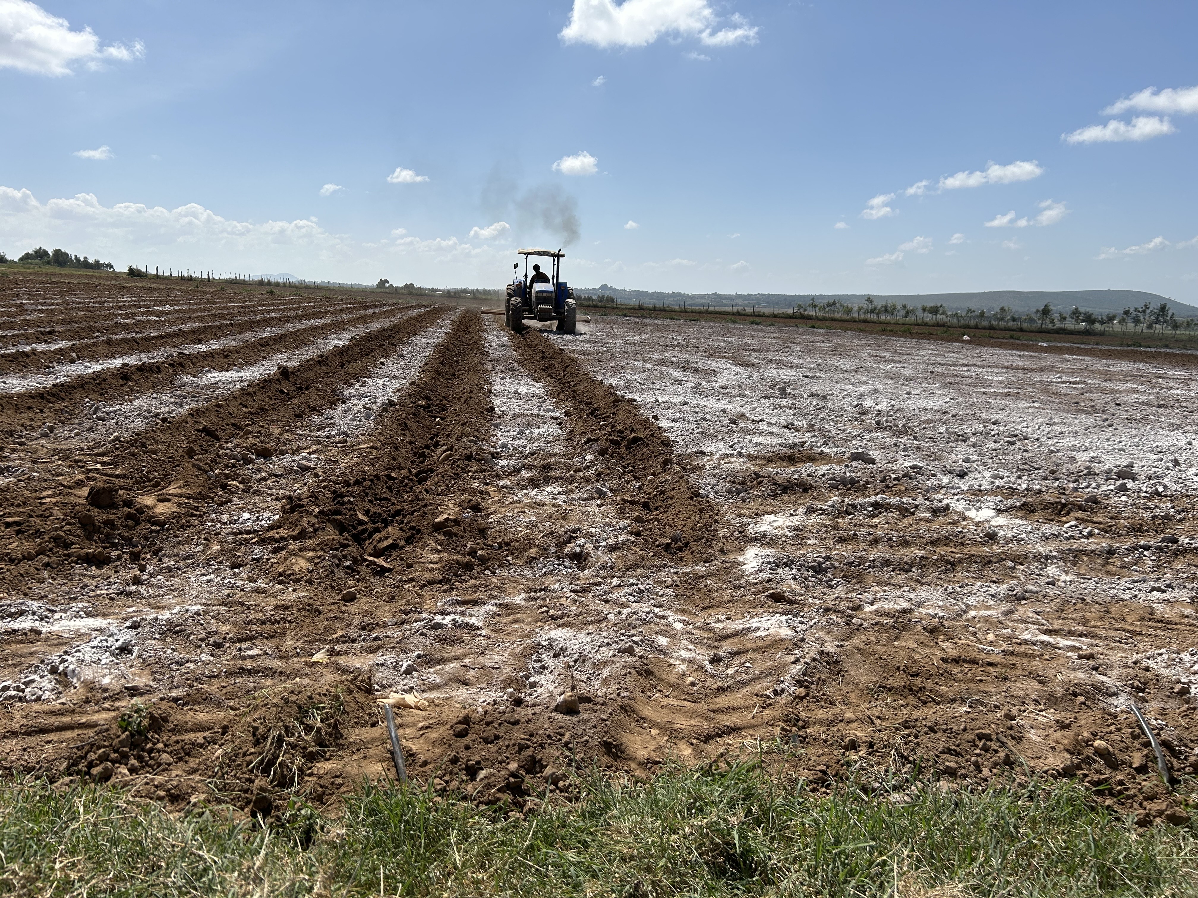 Inclusivity in agriculture